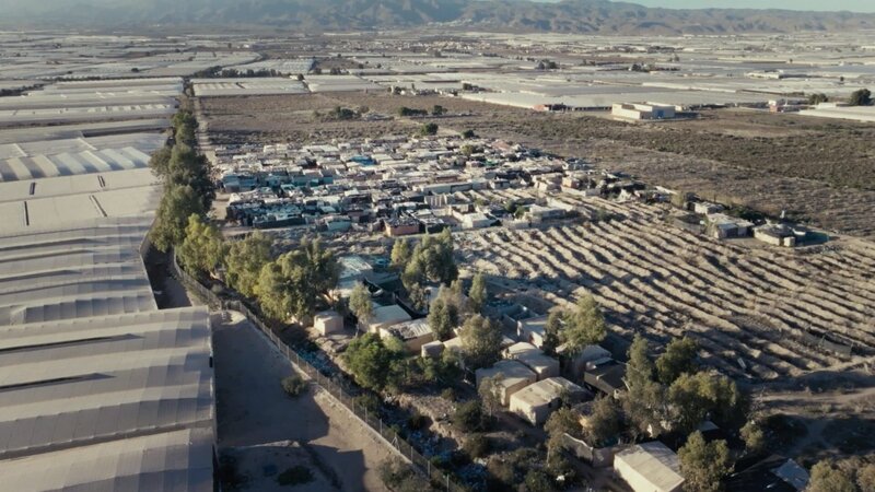 Inmitten von Hunderten Gewächshäusern haben die zum Teil in Illegalität lebenden Hilfsarbeiter provisorische Behausungen errichtet. – Bild: Jordi Iglesias