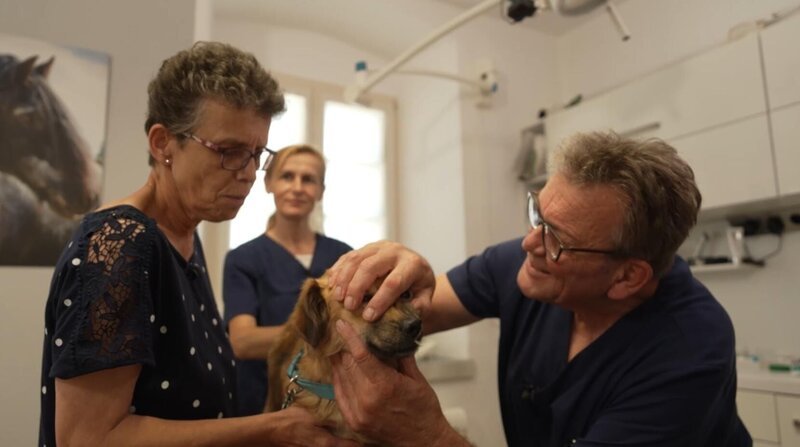 Dr. Herbert Dreesen(r.) – Bild: SAT.1 GOLD