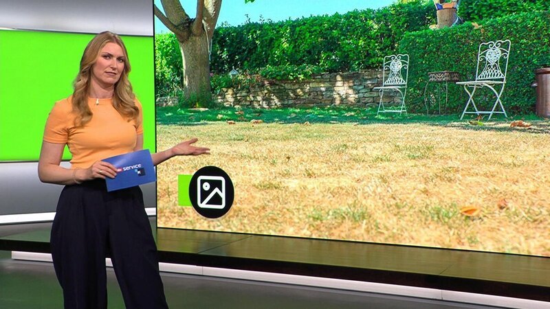 Bild: RTL