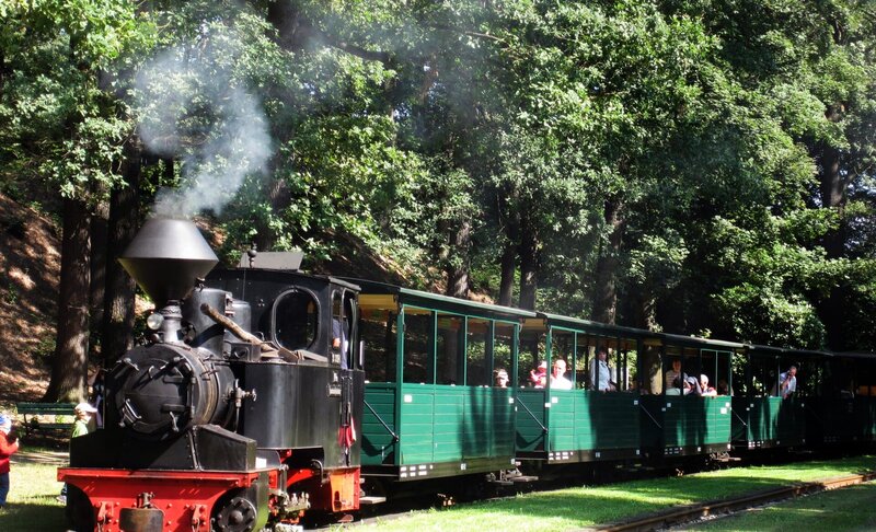 Einst Industriebahn, heute ein Kleinod in der Oberlausitz: die Waldeisenbahn Muskau. – Bild: SWR