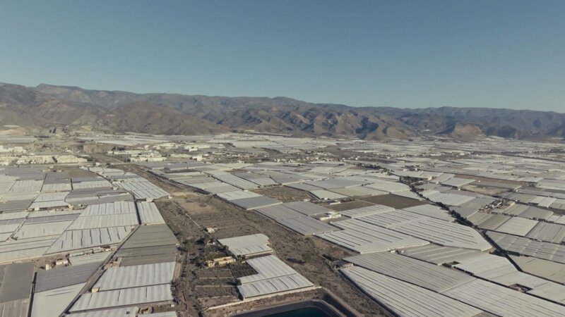 32.000 Hektar Gewächshäuser erstrecken sich über die Region Almería in Südspanien: ein echtes ökologisches und humanitäres Problem. – Bild: Jordi Iglesias