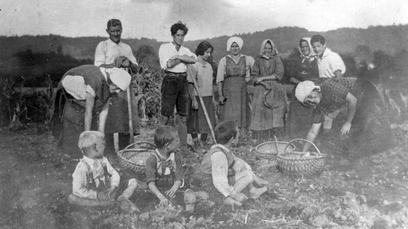  allgemeines Fotos zu Hachschara in Österreich (Burgenland) – Bild: ORF/​ORF-Wien