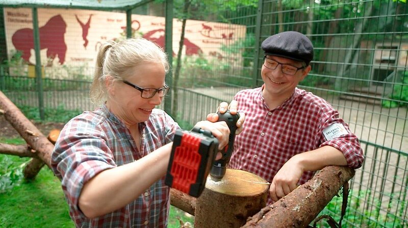 Selbst ist die Frau! Tierpflegerin Jasmin Batzdorfer und ihr Kollege Benedikt Knüppe gestalten die Anlage für die Baumstachler Viktor und Monty um. Die Ursons sollen ein gemeinsames Gehege beziehen, eine Männer-WG also. Werden die zwei miteinander klarkommen? – Bild: NDR/​Doclights