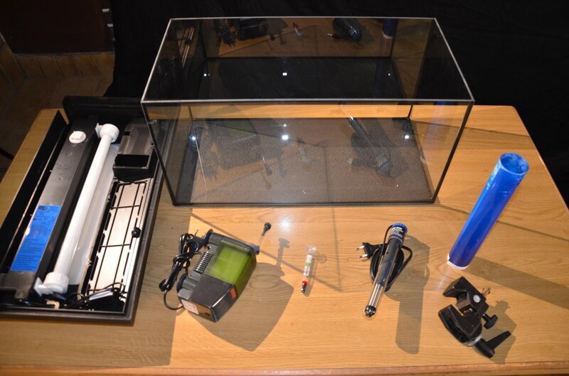 Das Aquarium sollte mindestens 60 Zentimeter lang sein. Für den Einstieg gibt es im Handel Komplett-Sets. Sie enthalten alles nötige an technischem Zubehör – wie zum Beispiel Wasserfilter und Heizung. – Bild: BR/​TEXT + BILD Medienproduktion GmbH & Co. KG/​Ralph Wege