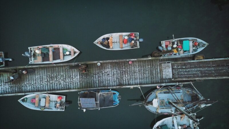 Port Protection heißt ihr selbst gewähltes Zuhause. – Bild: BBC Worldwide