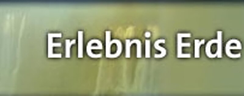Bild: WDR