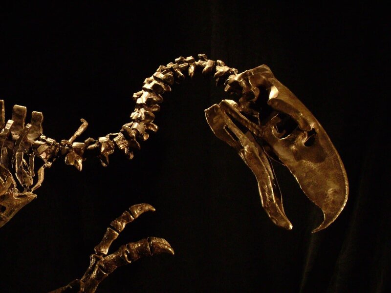 Eine Titanis-Skulptur aus Metall im Naturhistorischen Museum von Florida in Gainesville, Florida. – Bild: PLURIMEDIA