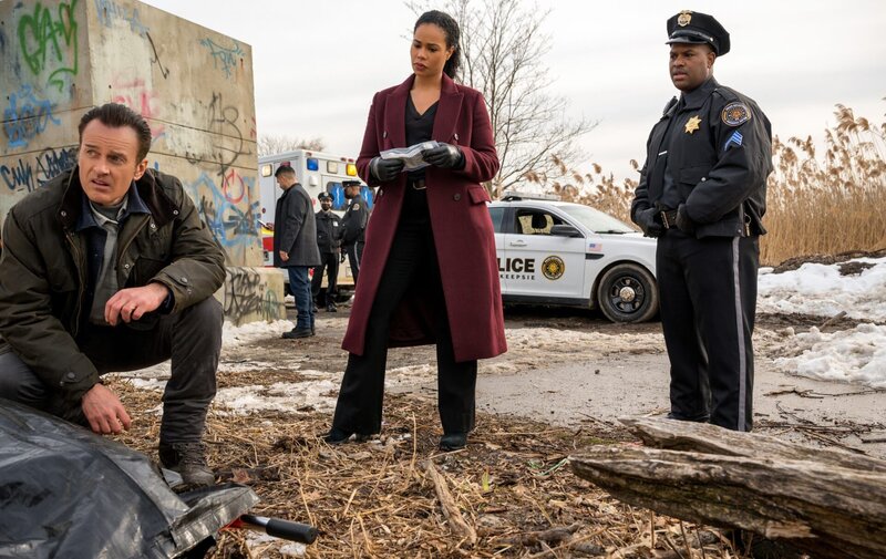 Jess LaCroix (Julian McMahon, l.); Sheryll Barnes (Roxy Sternberg, 2.v.l.) – Bild: CBS Broadcasting Inc.