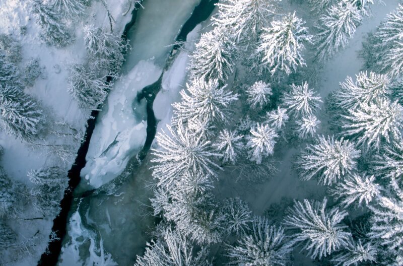 Winterimpression im Nationalpark Bayerischer Wald – Bild: SWR/Rainer Simonis Winterimpression im Nationalpark Bayerischer Wald – Bild: SWR/Rainer Simonis
