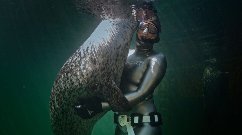 Anna von Boetticher mit einem Seehund im Marine Science Center in Warnemünde. – Bild: NDR/​Tobias Friedrich /​ ZDF und NDR/​Tobias Friedrich
