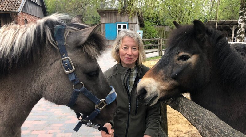 Rodeo auf dem Zoobauernhof: Die Dülmener Stute Annalena ist neu auf Meyers Hof und soll heute an ihre Mitbewohnerin, Exmoor-Pony Mona, gewöhnt werden. Der Neuzugang bringt die Kühe in Wallung und Manja Fuhrmann muss eingreifen, damit alles friedlich bleibt. – Bild: NDR/​Doclights/​Petra Tschumpel/​Petra Tschumpel