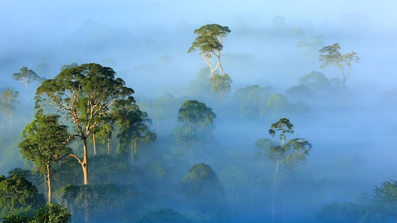 Bild: SRF/​Terra Mater Factual Studios/​Matt Hamilton