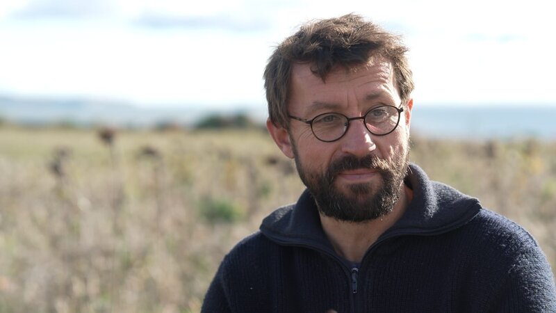 Rügen - Weiße Felsen, grüne Wälder – Bild: ZDF und arte, Jasper Engel