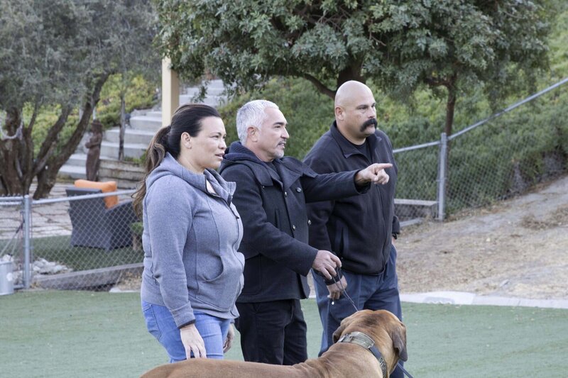 (v.l.n.r.) Jennifer; Cesar Millan; Eric – Bild: National Geographic