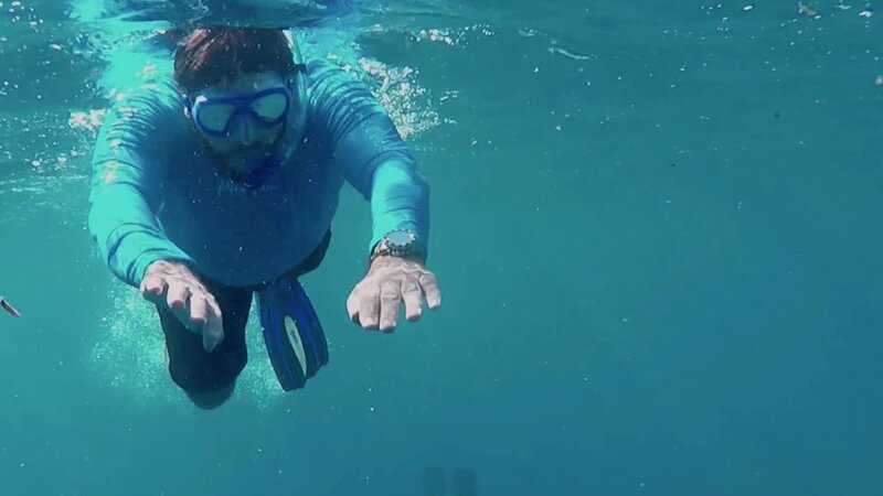 Riaan Manser – Bild: Curiosity Channel powered by Spiegel