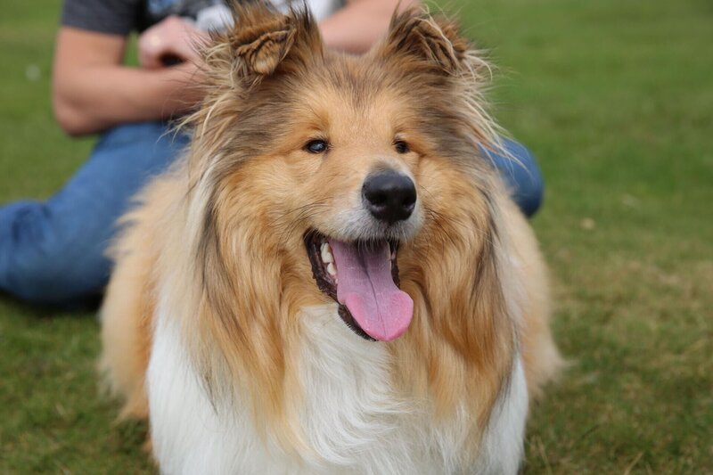 Merida – Bild: Blast! Films