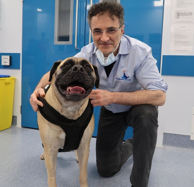 Noel Fitzpatrick – Bild: Blast! Films MMXXII