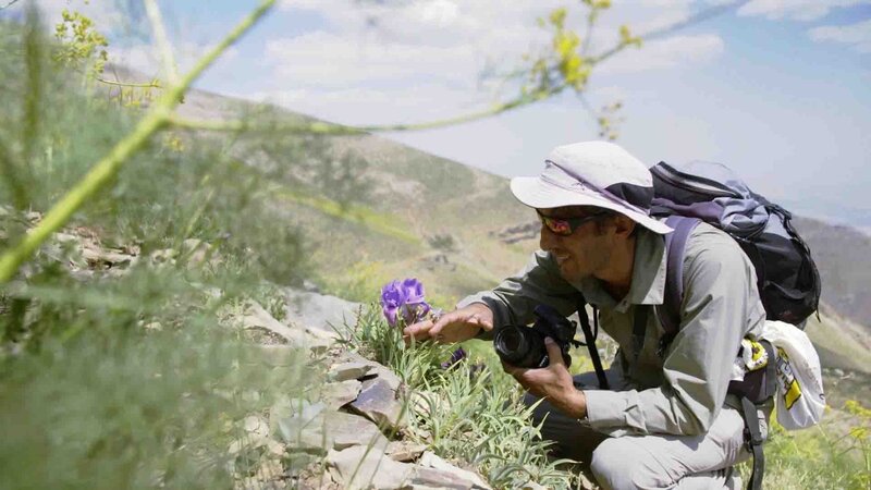Jalil Noroozi – Bild: Bergblick