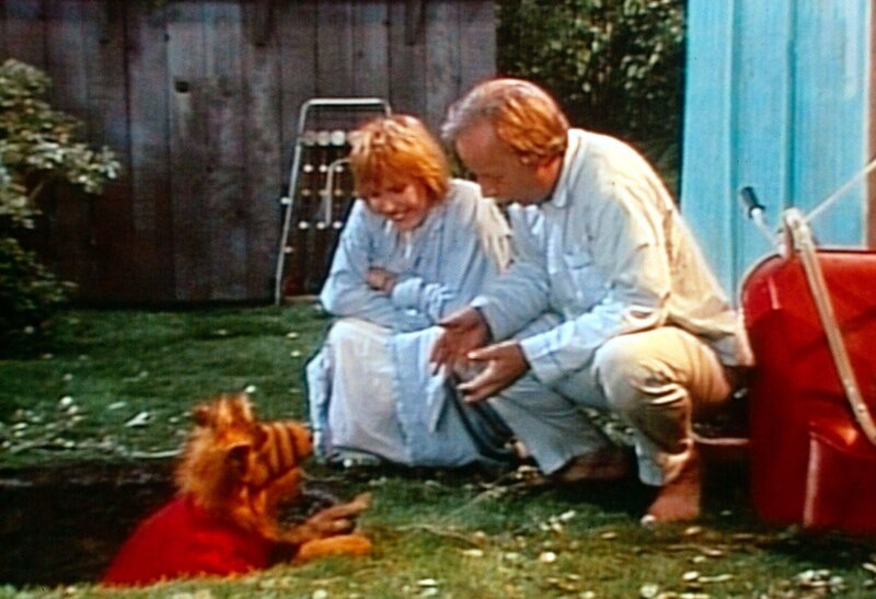 Entgegen allen Erwartungen hat Alf in seiner selbst gebastelten Falle einen Einbrecher gefangen. Kate (Anne Schedeen, l.) und Willie (Max Wright, r.) gratulieren … – Bild: Nitro