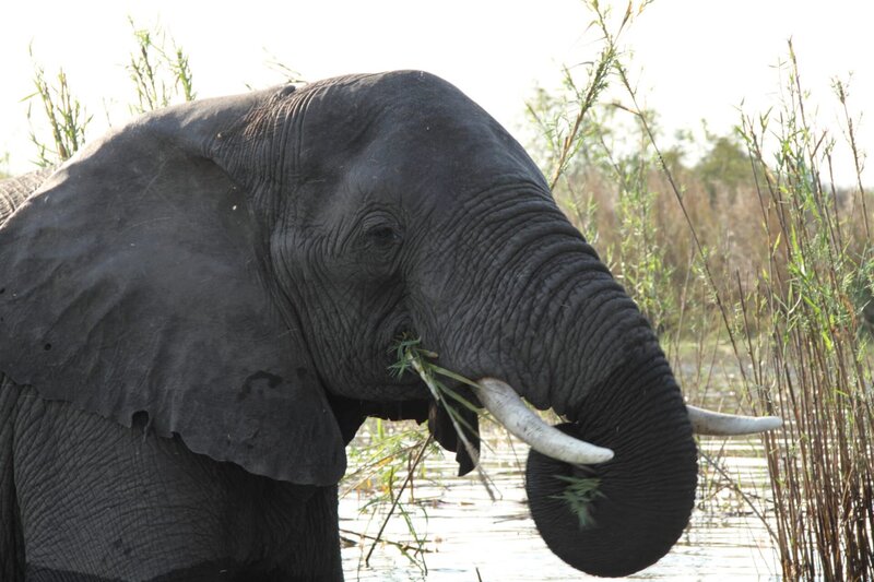 Der Rauch, der donnert - Die Victoriafälle – Bild: BR/​Udo Zimmermann