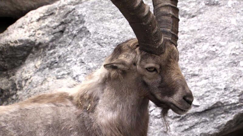 Bild: @Red Bull Media House/​ServusTV