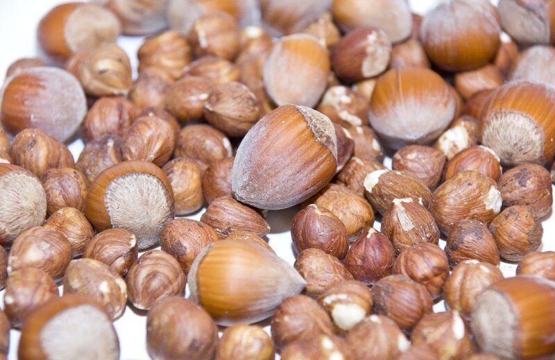 Jedes Eichhörnchen und jedes Kind kennt die Haselnuss. Ihre Nuss ist essbar und schmackhaft. Sie bereichert den Speiseplan des Menschen schon seit Jahrtausenden. – Bild: BR/​Natasha-I. Heuse