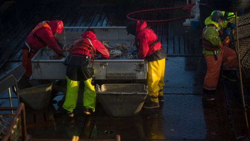 Working on the Wizard deck. – Bild: @faheyfoto/​Matt Fahey