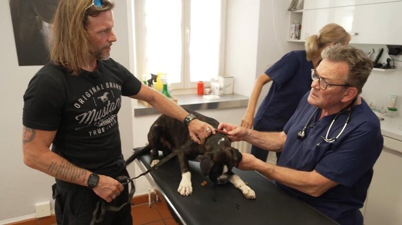 Dr. Herbert Dreesen(r.) – Bild: SAT.1 GOLD