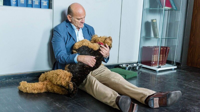 Direktor Roses (Uli Gebauer) Hund Heisenberg ist gestorben. – Bild: TVNOW /​ Frank Dicks