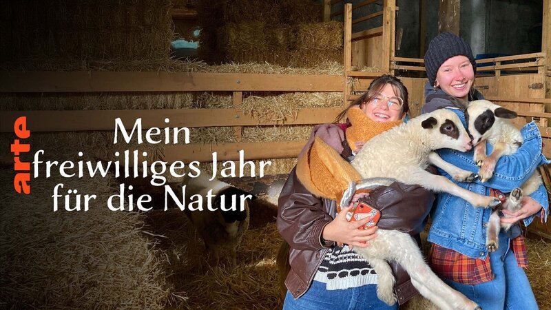 Bild: Arte