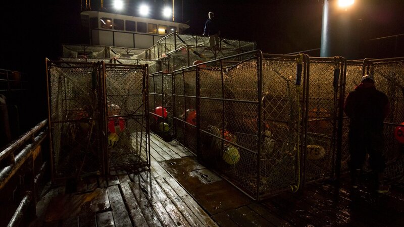 On the deck of the Cornelia Marie. – Bild: DMAX