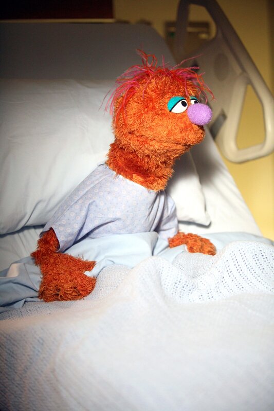 „Scrubs – Die Anfänger“, „Meine Sesamstraße.“ Um sich ein genaues Bild über ihre berufliche Eignung zu machen, nehmen J.D., Elliot und Dr. Cox für einen Tag je einen Assistenzarzt bei der Hand. Elliot entscheidet sich für die übereifrige Katie, der – um Karriere zu machen – jedes Mittel recht zu sein scheint. J.D.  versucht der distanzierten Denise zu zeigen, wie wichtig ein gewisses Maß an Einfühlungsvermögen im Umgang mit Patienten ist, während sich Cox mit dem begabten, aber faulen Ed herumärgern muss. – Bild: ORF 1