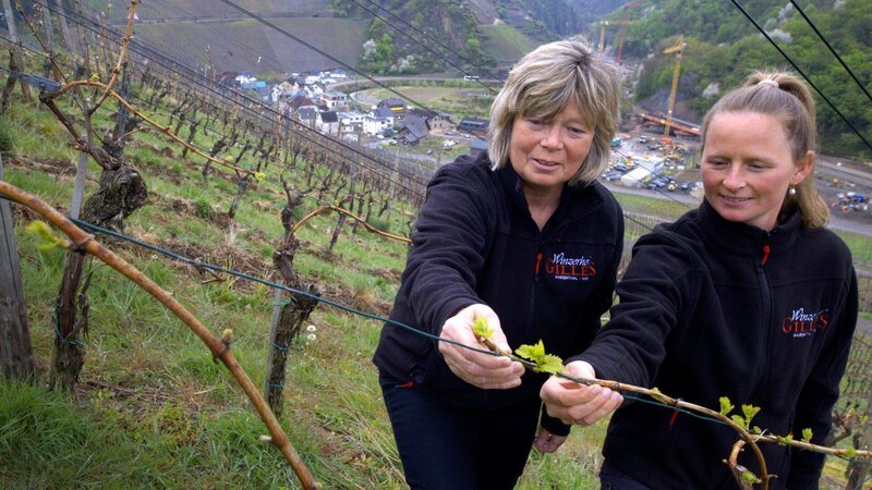 Winzerinnen Dorle (l.) und Corinna Gilles (r.) arbeiten in ihrem Weinberg oberhalb des Ahrtals. – Bild: ZDF