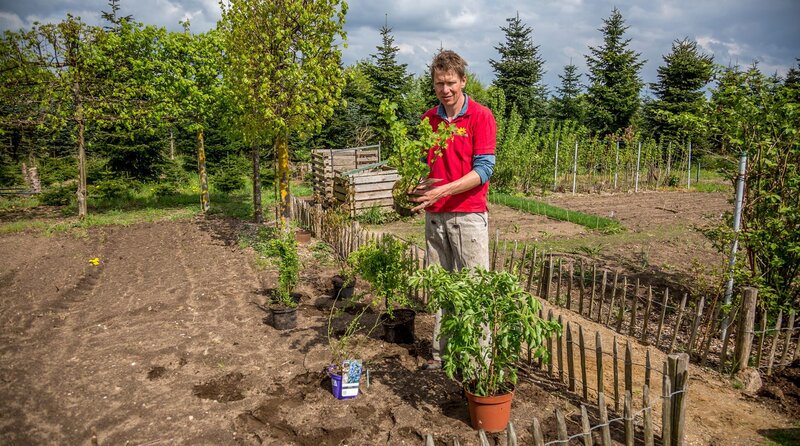 Beerensträucher brauchen Pflege, damit sie üppig wachsen. – Bild: NDR/​Udo Tanske