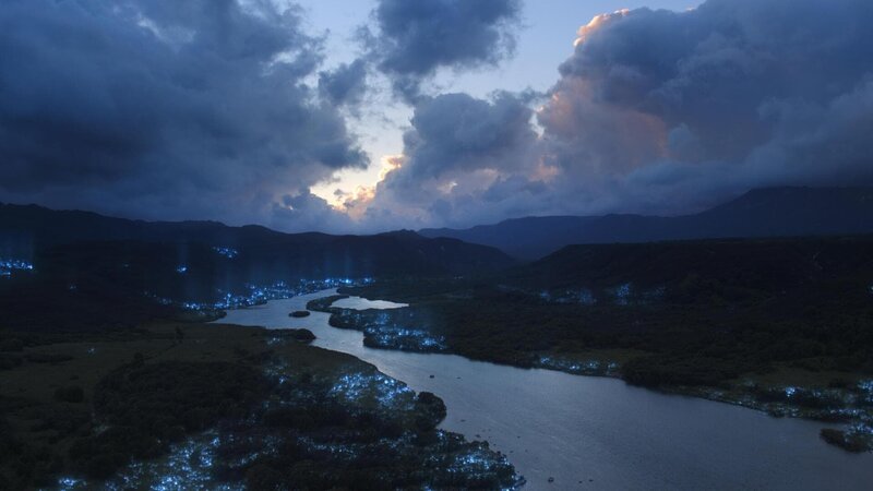 Bild: National Geographic