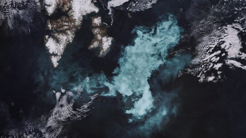 Diatom Bloom in Arctic waters. (credit: NASA) – Bild: Copyright © The National Geographic Channel.