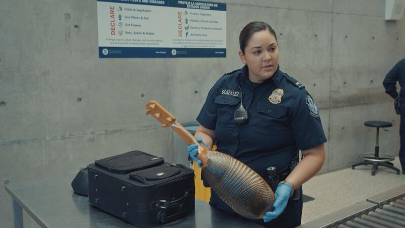 Bild: Stampede Productions Ltd /​ Jaylend Shields Lizenzbild frei