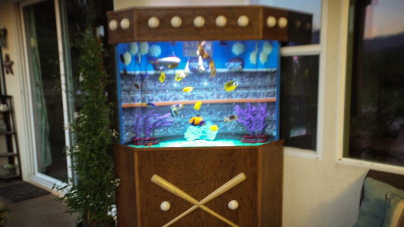 Finished fish tank. – Bild: Warner Bros. Discovery
