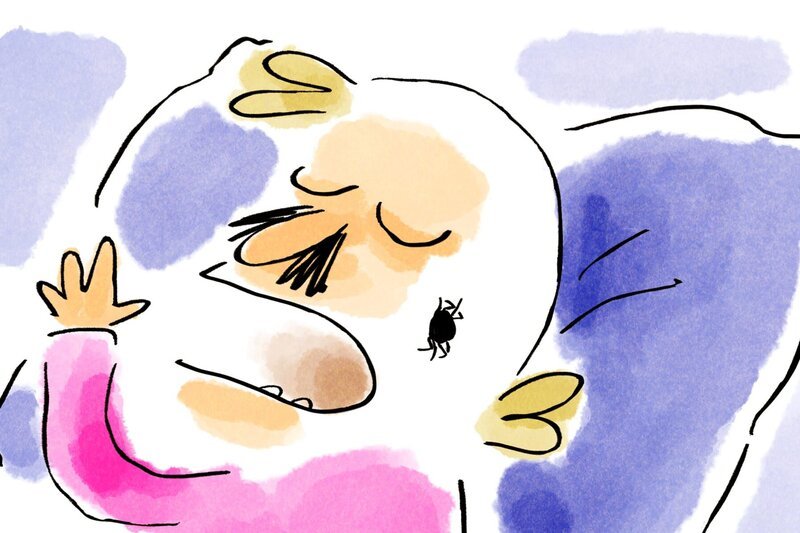 Ist die Angst berechtigt, dass man im Schlaf Spinnen verschlucken könnte? – Bild: Folimage/​Ex Nihilo