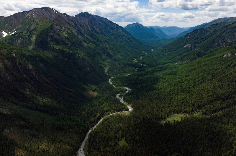 Ein Gebiet voller Artenvielfalt: Die Taiga bedeckt 17 Prozent der Erdoberfläche und verfügt über die weltweit größte Dichte an Flüssen und Bodenschätzen. – Bild: Lato Sensu/​Hamid Sardar
