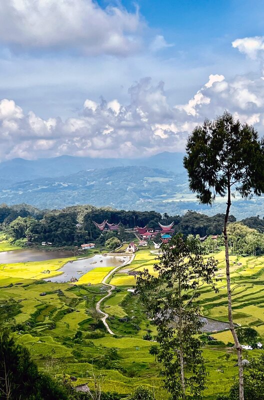 Sulawesi - Indonesiens geheimnisvolle Schönheit – Bild: Martin Schacht