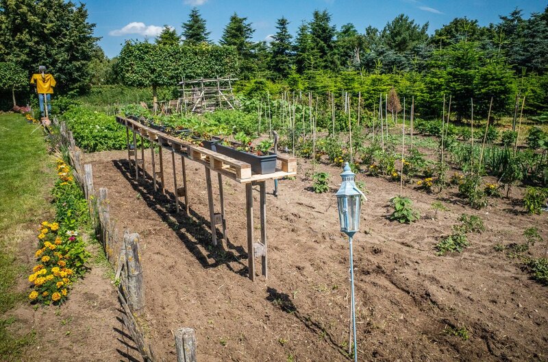 Ein Hochbeet für die Erdbeeren. – Bild: NDR/​ Udo Tanske