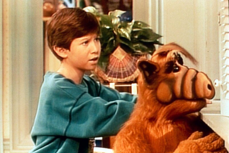 Interessiert verfolgen Alf (r.) und Brian (Benji Gregory, l.) von der Küche aus die lautstarke Auseinandersetzung der beiden Rivalen Danny und Randy. – Bild: Nitro