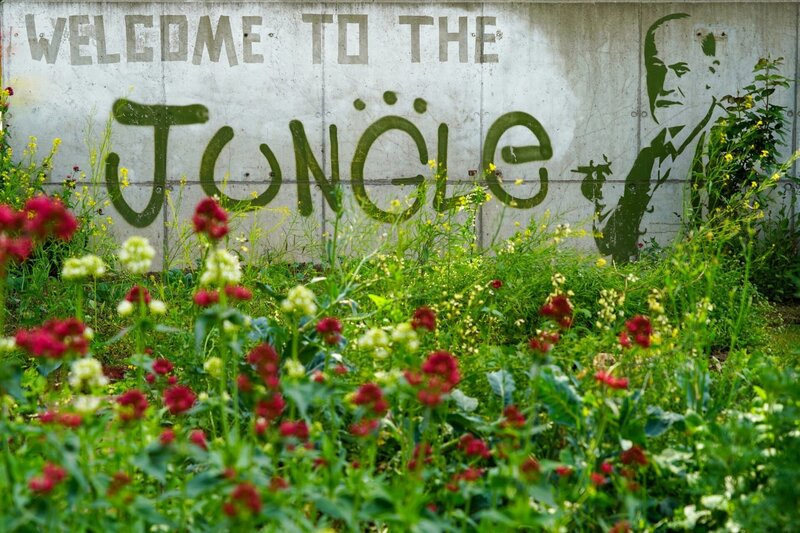 Am weitläufigen Gelände der Klinik Hietzing in Wien bietet ein besonderer Garten einen optimalen Raum für Therapie, Begegnung und Vernetzung. Hier gedeihen Kräuter, Gemüse und Beeren, die von Patientinnen und Patienten und deren Angehörigen sowie Mitarbeiterinnen und Mitarbeiter gesät, gepflegt, geerntet und verarbeitet werden. – Bild: Leopold Mayrhofer/​Natur im Garten