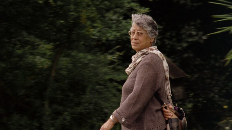 Iraqi Odyssey – Bild: Samir /​ Dschoint Ventschr Filmproduktion