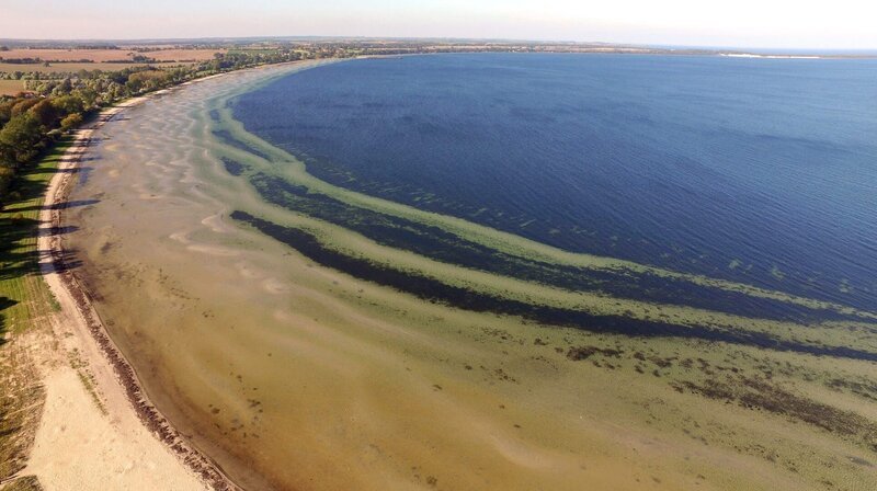 Die Ostsee ist das jüngste Meer der Erde und erst nach der letzten Eiszeit entstanden. Es scheint so vertraut, bietet aber viele Überraschungen. Wind und Wellen formen bis heute die Ufer der Ostsee. Die erste Folge führt von Dänemarks Nordspitze, über die Halbinsel Darß und die Kurische Nehrung bis zu den endlosen Stränden Lettlands. – Foto: Wohlenberger Wiek aus der Luft. – Bild: rbb