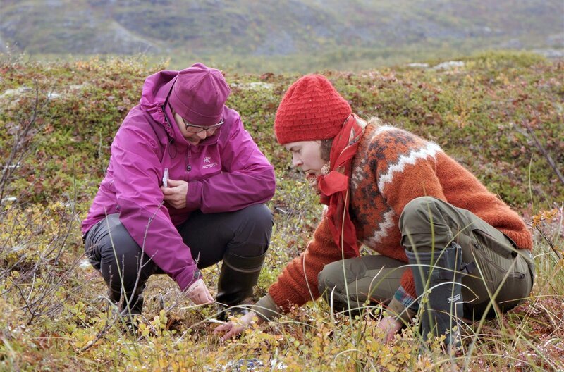 Die Forscherinnen Minna Väliranta (li.) und Emilia Tuomaala (re.) sind auf der Suche nach Pflanzenproben. – Bild: Simo Sipola/YLE Die Forscherinnen Minna Väliranta (li.) und Emilia Tuomaala (re.) sind auf der Suche nach Pflanzenproben. – Bild: Simo Sipola/YLE