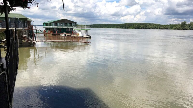 Die Donau fließt bei Novi Sad gemächlich durch Serbien. In vielen Orten wie hier in Sremski Karlovci laden Restaurants direkt am Ufer zum Entspannen ein. – Bild: NDR/Thomas Balzer Die Donau fließt bei Novi Sad gemächlich durch Serbien. In vielen Orten wie hier in Sremski Karlovci laden Restaurants direkt am Ufer zum Entspannen ein. – Bild: NDR/Thomas Balzer
