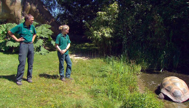 ARD/​NDR LEOPARD, SEEBÄR UND CO. FOLGE 109, „Eine Jungs-WG für Kamel Kalif“, am Montag um 16:10 Uhr im ERSTEN. Die Schildkröte Otto nimmt unter den Augen von Uwe Fischer und Jill Jensen ein Bad im Teich. – Bild: NDR