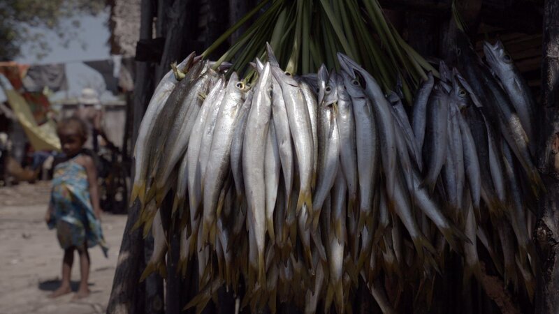 Fischerdorf Ambiky – alle leben hier vom Fischfang. – Bild: ZDF